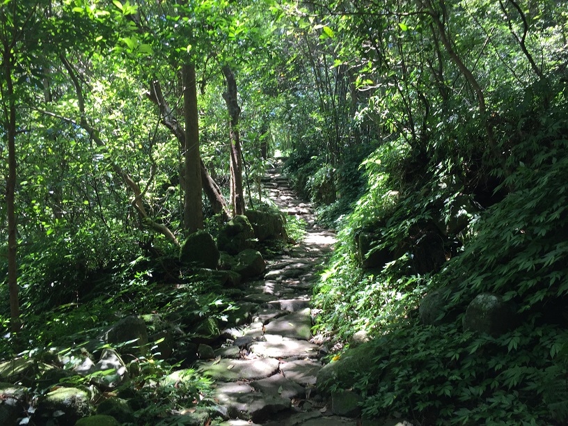 親子黑夜探險記